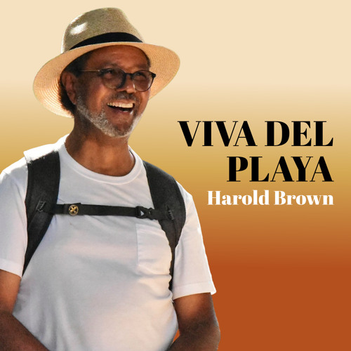 Cover artwork for Viva Del Playa